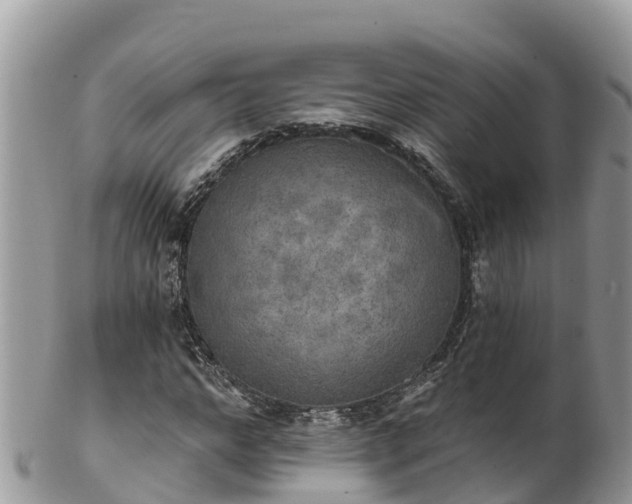 X0000102290968200808011509