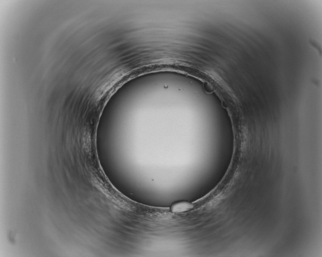 X0000102290969200808011509