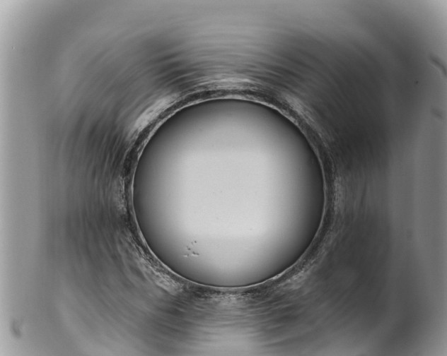 X0000102290970200808011509