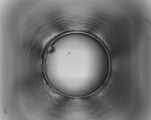 X0000102290971200808011509