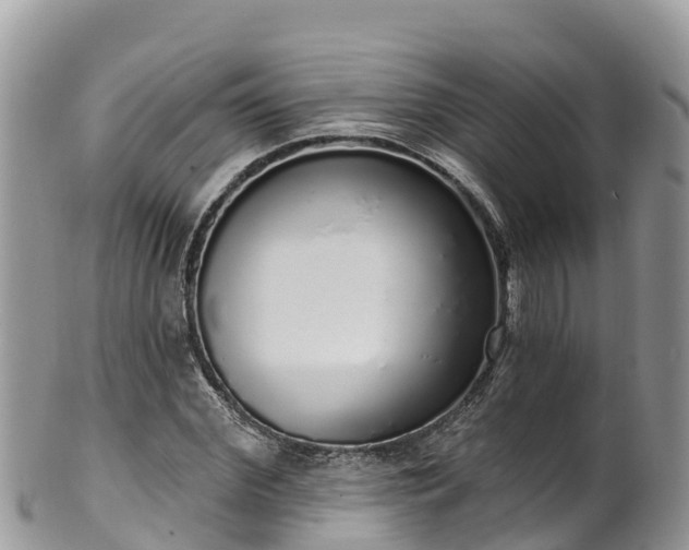 X0000102290972200808011509