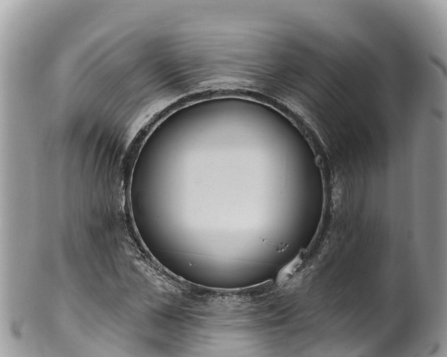 X0000102290973200808011509