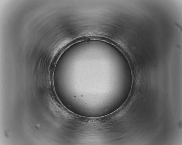 X0000102290974200808011509