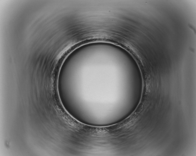 X0000102290975200808011509