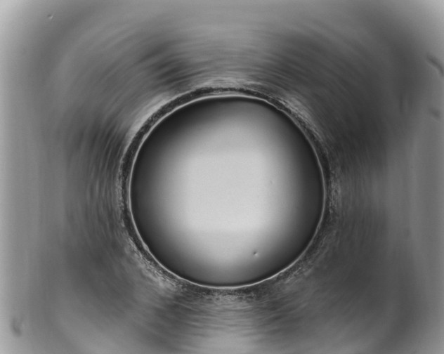 X0000102290976200808011509