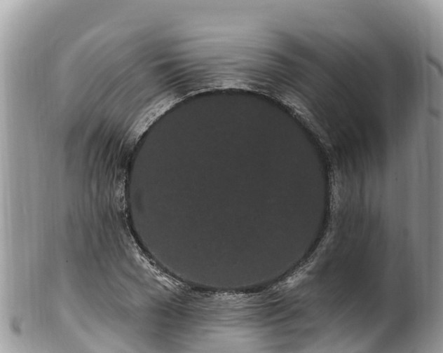 X0000102290977200808011509