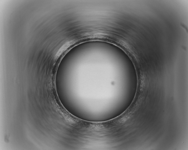 X0000102290978200808011509