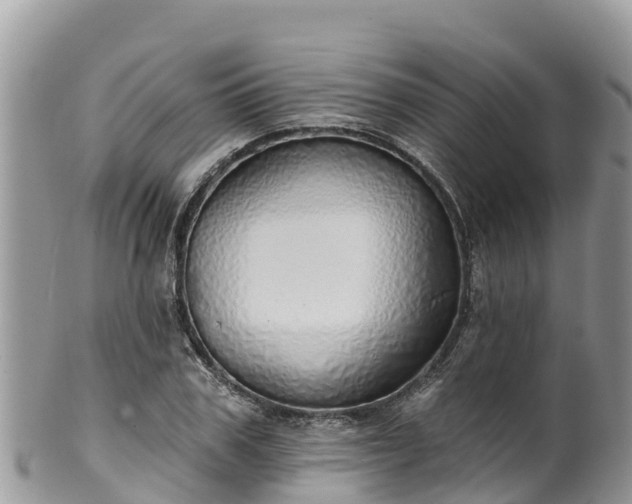 X0000102290979200808011509