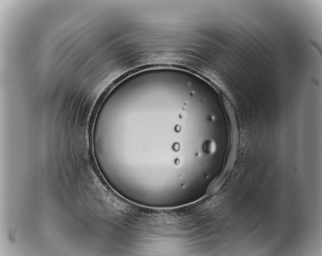 X0000102290980200808011509