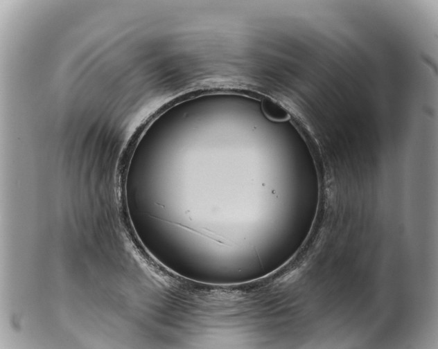 X0000102290981200808011509