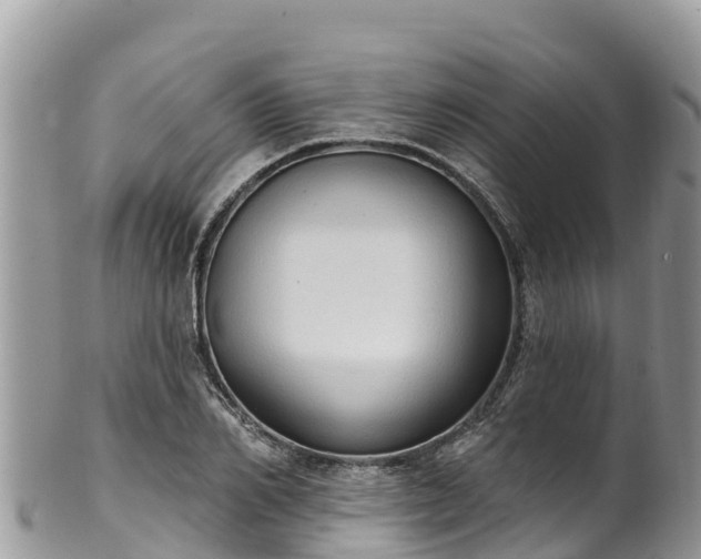 X0000102290982200808011509