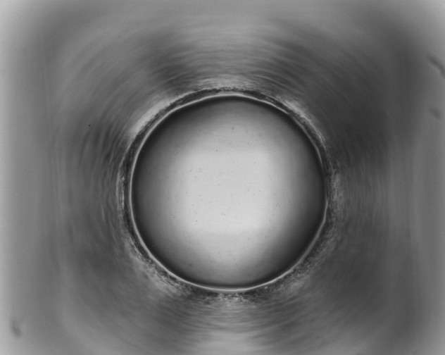 X0000102290983200808011509