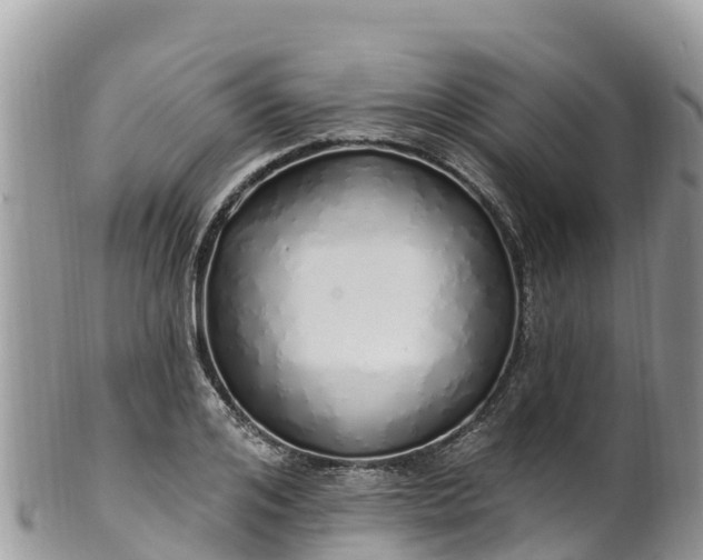 X0000102290984200808011509