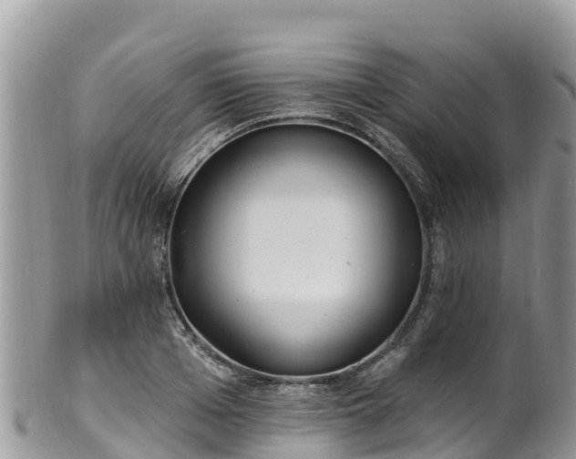 X0000102290985200808011509