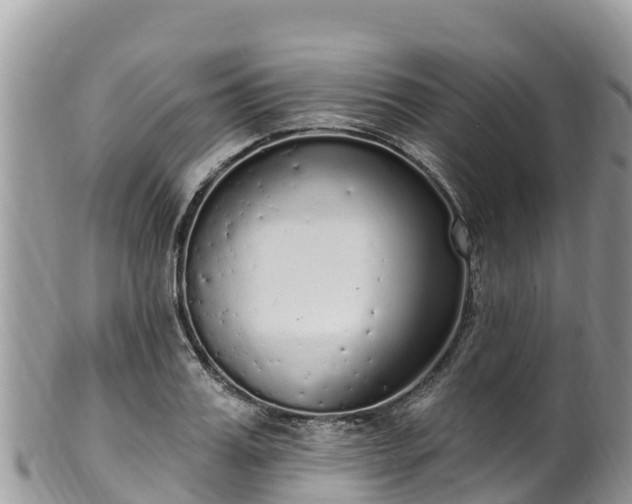 X0000102290987200808011509