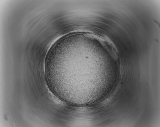 X0000102290988200808011509