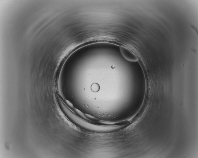 X0000102290989200808011509