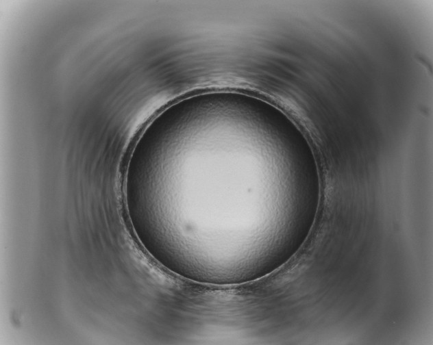 X0000102290990200808011509