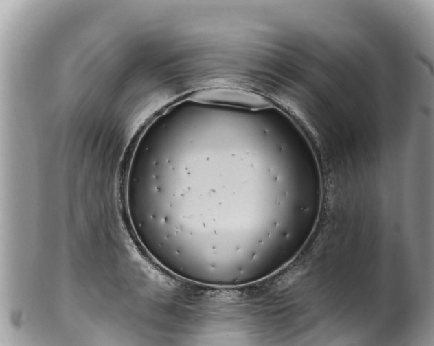 X0000102290991200808011509