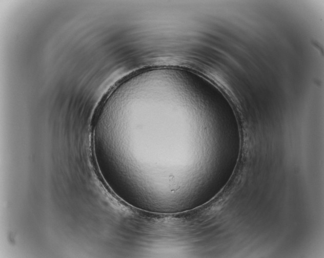 X0000102290992200808011509