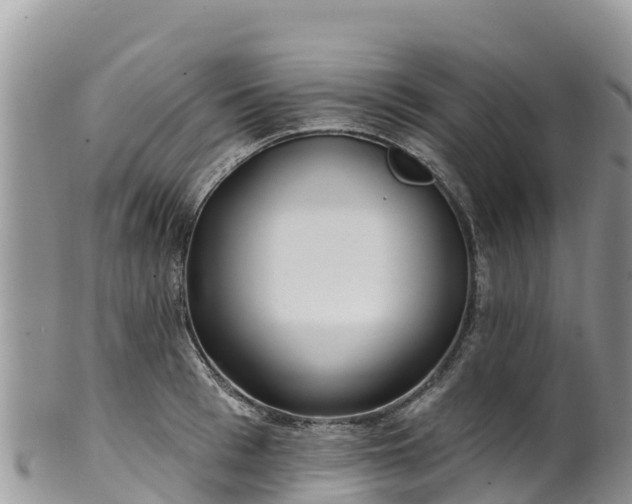 X0000102290993200808011509