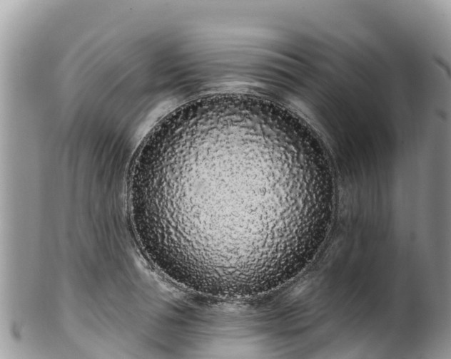 X0000102290994200808011509