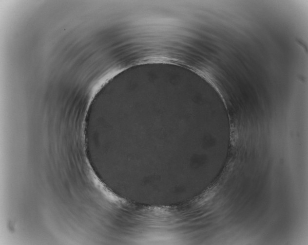 X0000102290995200808011509