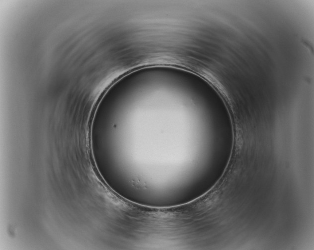 X0000102290996200808011509