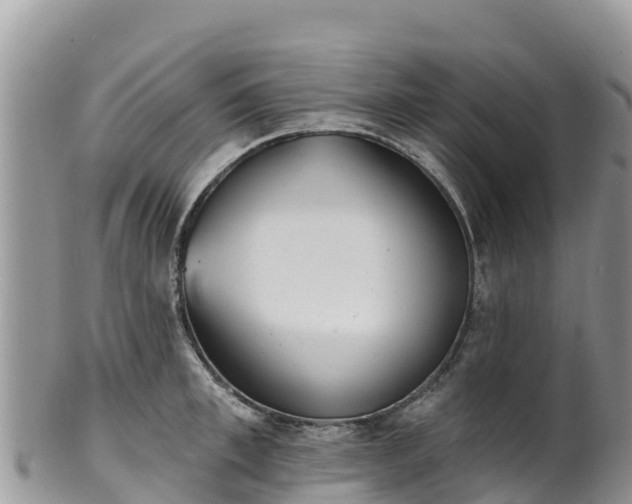 X0000102290997200808011509