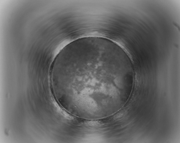 X0000102290998200808011509