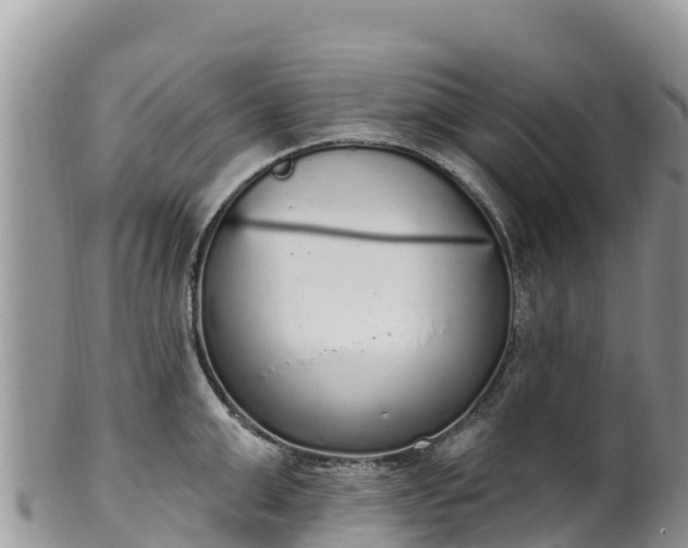 X0000102290999200808011509