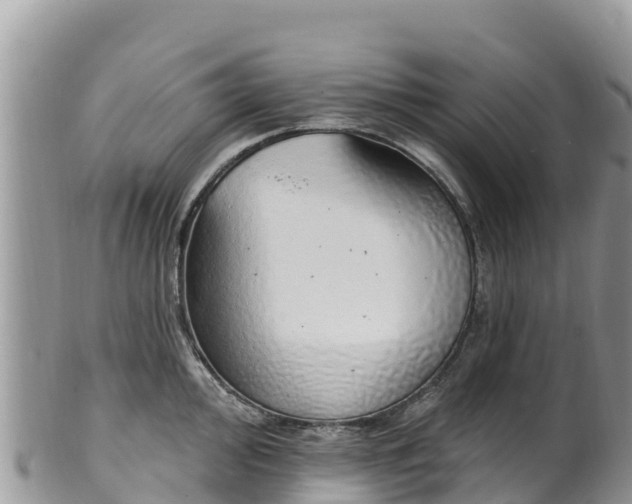 X0000102291000200808011509