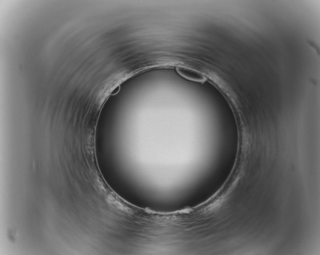 X0000102291001200808011509