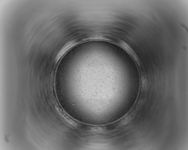 X0000102291002200808011509