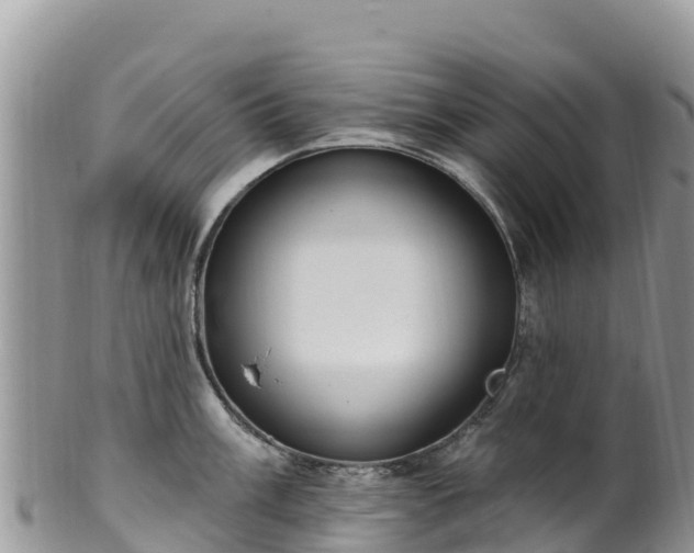 X0000102291003200808011509