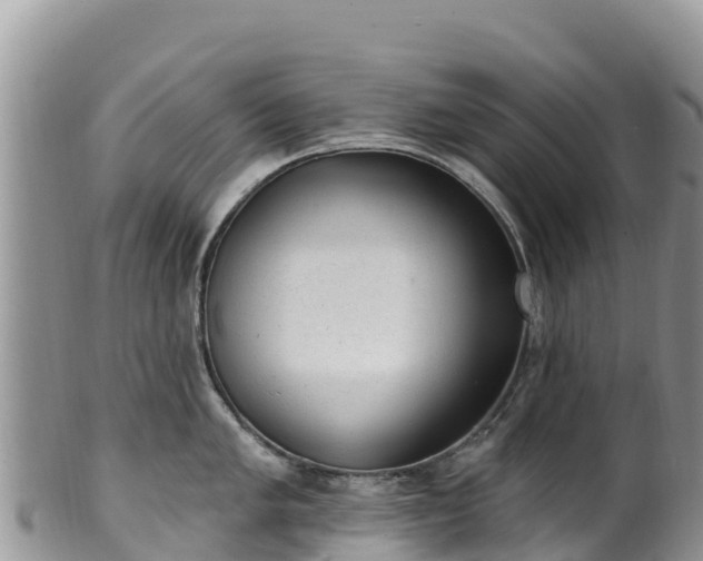 X0000102291005200808011509