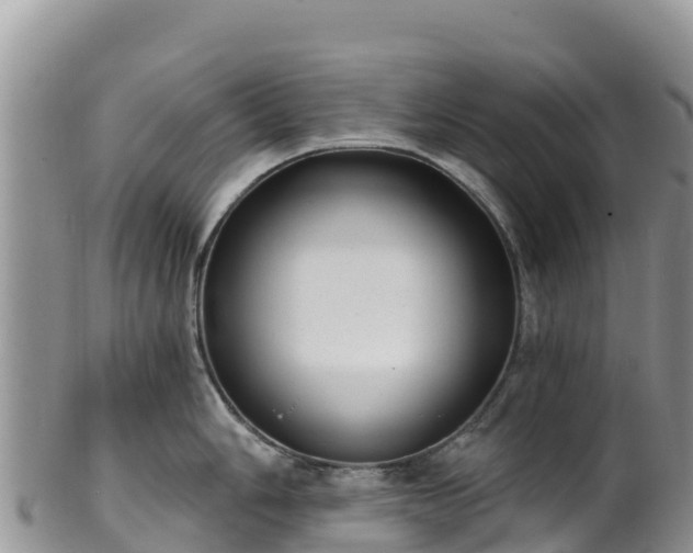 X0000102291006200808011509