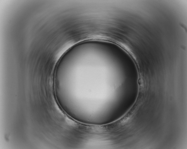 X0000102291007200808011509