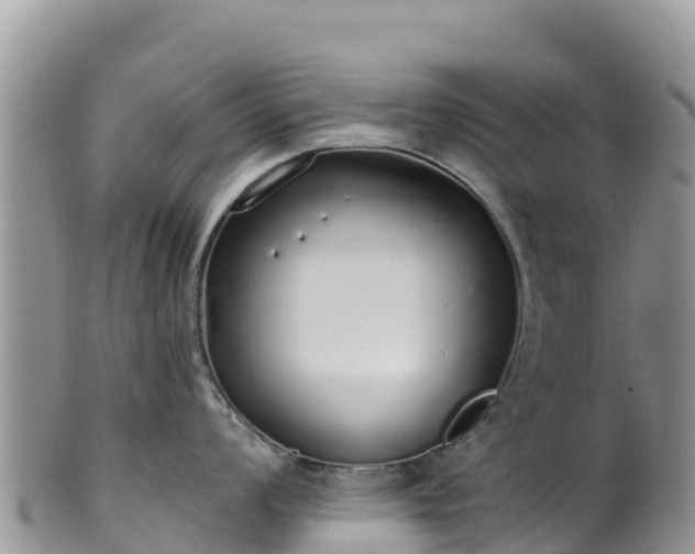 X0000102291008200808011509