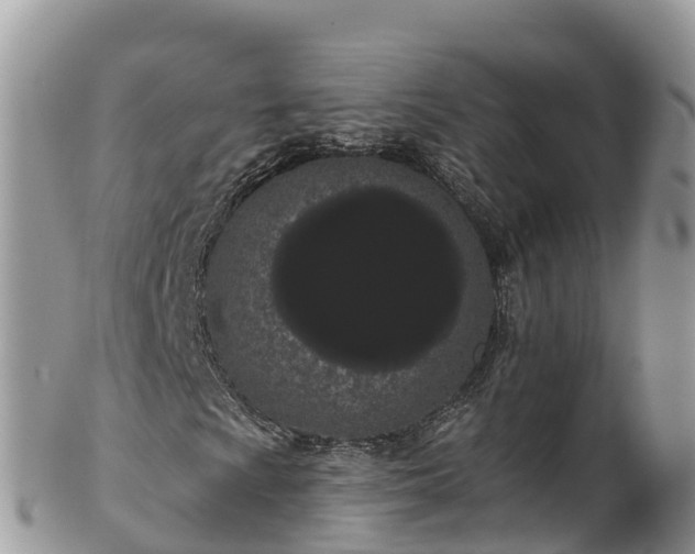 X0000102291009200808011508