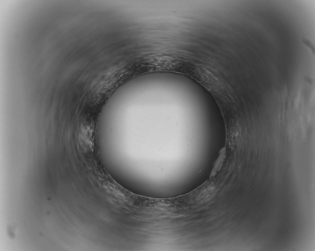 X0000102291010200808011508