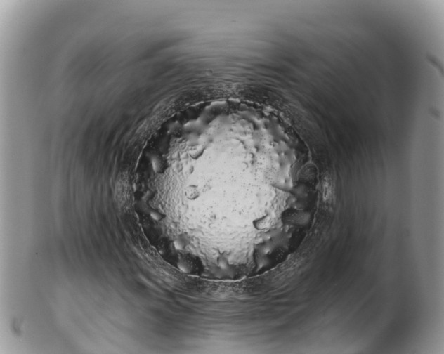 X0000102291011200808011508