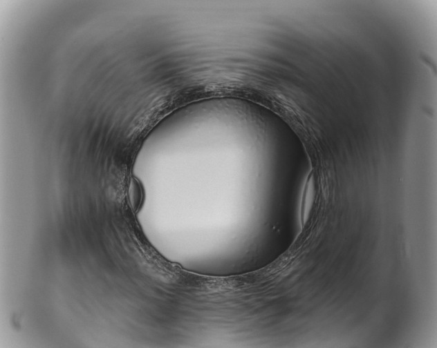 X0000102291012200808011508