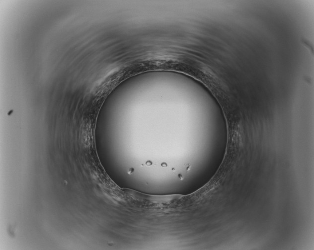 X0000102291014200808011508