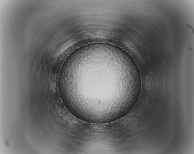 X0000102291015200808011508