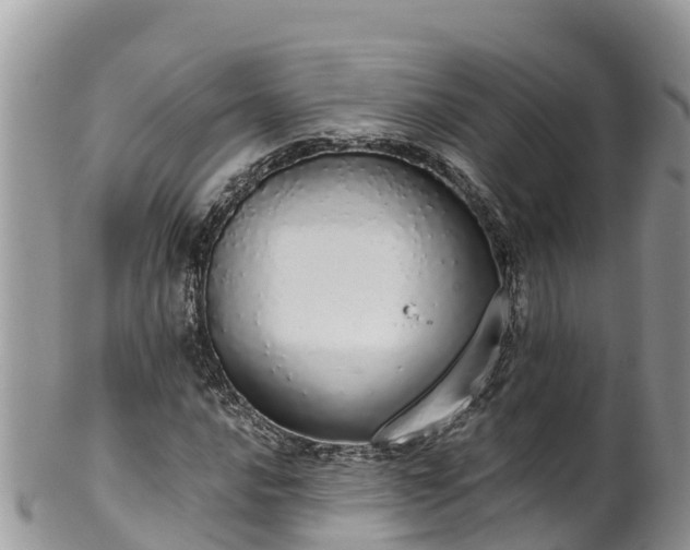 X0000102291016200808011508