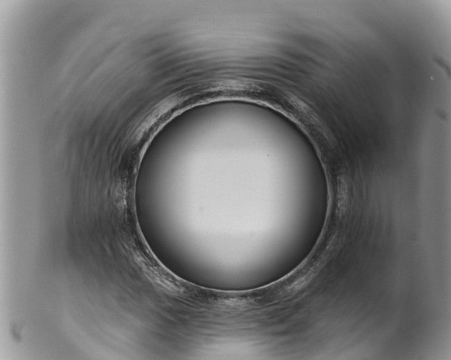 X0000102291017200808011508