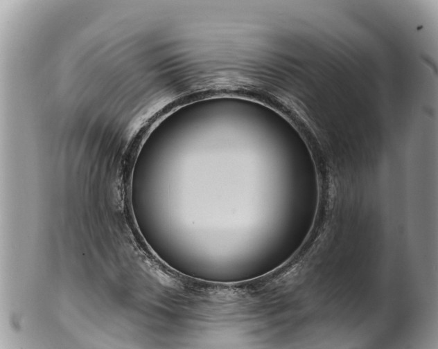 X0000102291018200808011508