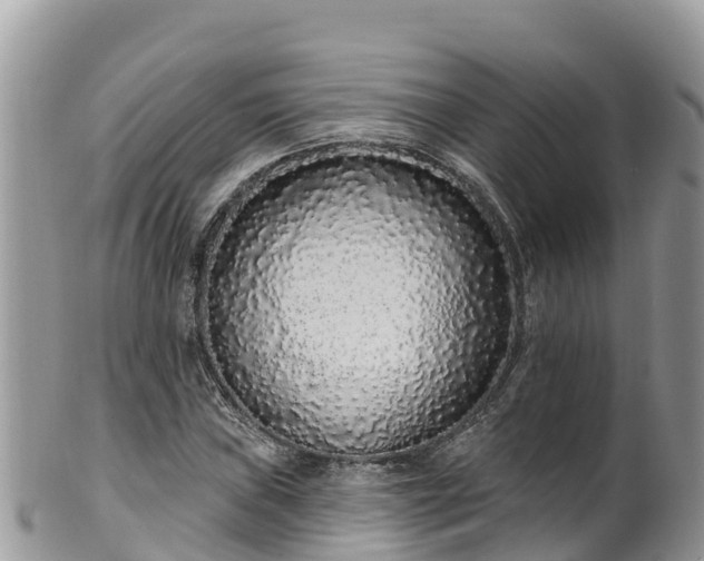 X0000102291019200808011508