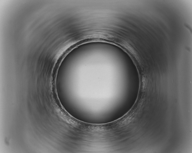 X0000102291020200808011508